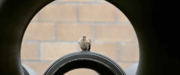 Tubería PEAD corrugada TDR Ultra Tododren destacada en el contexto del Día Mundial del Medio Ambiente, subrayando su contribución a la sostenibilidad y protección del medio ambiente.